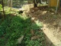 IMG_20260906_083659