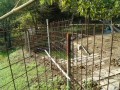 IMG_20260906_083746