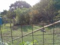 IMG_20260906_083748