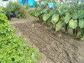 IMG_20260906_111443