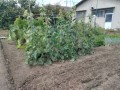 IMG_20260906_111508