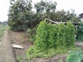 IMG_20260906_111516