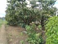 IMG_20260906_111519