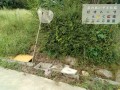 IMG_20260907_091659