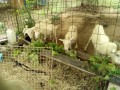 IMG_20260907_092021