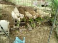 IMG_20260907_092058