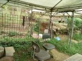 IMG_20260907_092200