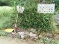 IMG_20260908_090711