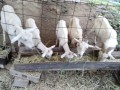 IMG_20260908_091027