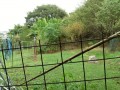 IMG_20260908_091112