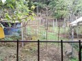 IMG_20260908_091123