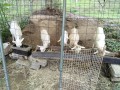 IMG_20260908_091228