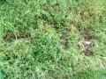 IMG_20260908_092121