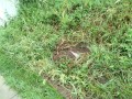 IMG_20260908_092131