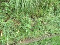 IMG_20260908_092134
