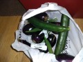 IMG_20260908_181232