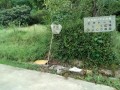 IMG_20260909_094246
