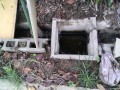 IMG_20260909_094254