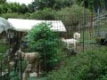 IMG_20260909_094423