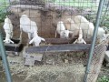 IMG_20260909_094856