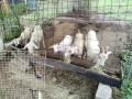 IMG_20260909_094902