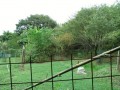 IMG_20260909_094940