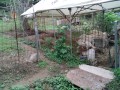 IMG_20260909_094950