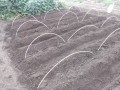 IMG_20260909_164356