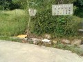 IMG_20260910_084110