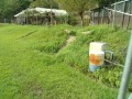 IMG_20260910_084404