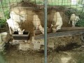 IMG_20260910_085223