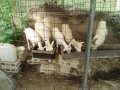 IMG_20260910_085229