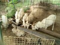IMG_20260910_085235