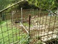 IMG_20260910_085307
