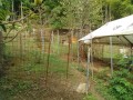 IMG_20260910_085318