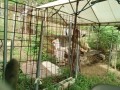 IMG_20260910_085433