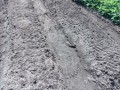 IMG_20260910_104406