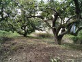 IMG_20260910_120352