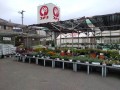 IMG_20260910_175202
