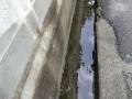 IMG_20260913_094843