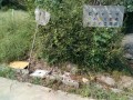 IMG_20260913_095436