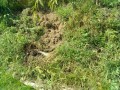 IMG_20260913_095456