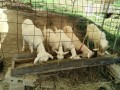 IMG_20260913_095619