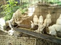 IMG_20260913_095630