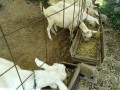 IMG_20260913_095654
