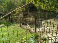 IMG_20260913_095725