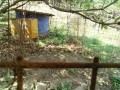 IMG_20260913_095729