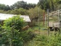 IMG_20260914_090327