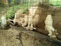 IMG_20260914_090612