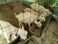 IMG_20260914_090623